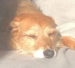 Bernhard Ott Grüner Veltliner Am Berg 2024 0,75l